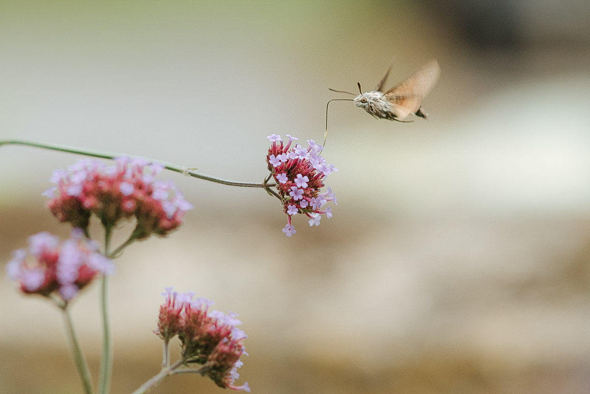 Wedding Photographer Hampshire-Clock Barn 64