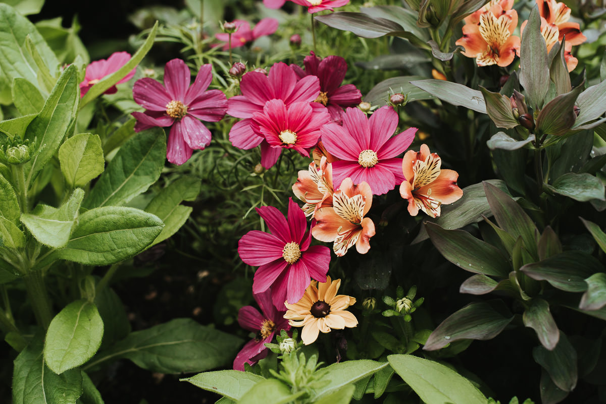 missenden abbey flowers