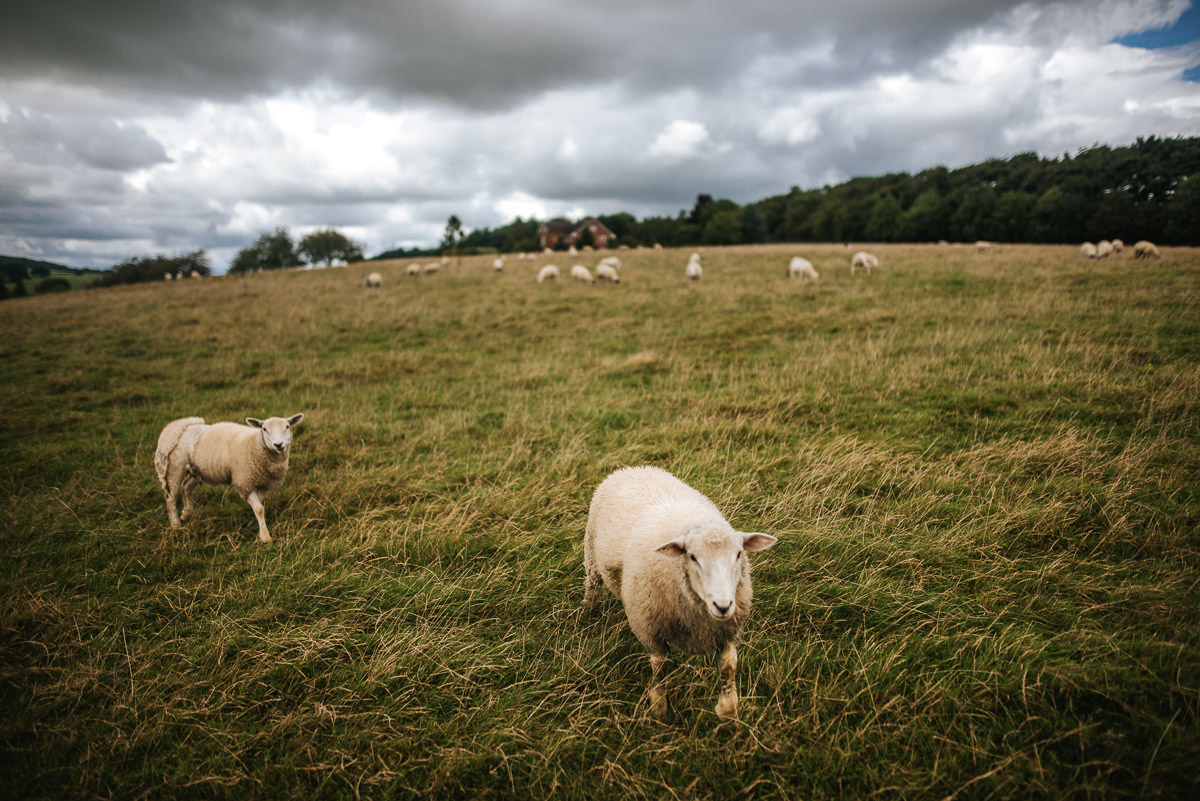Pitt Hall Barn Wedding Photography Hampshire 18