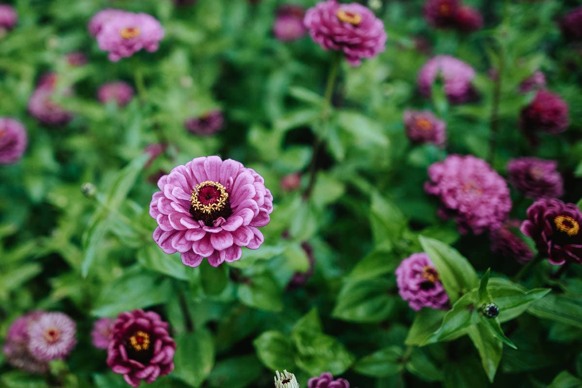 tipi wedding berkshire flowers