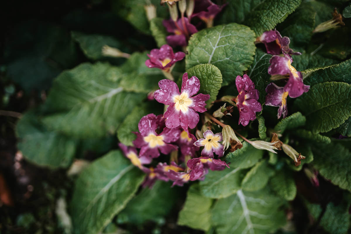 norton park wedding flowers