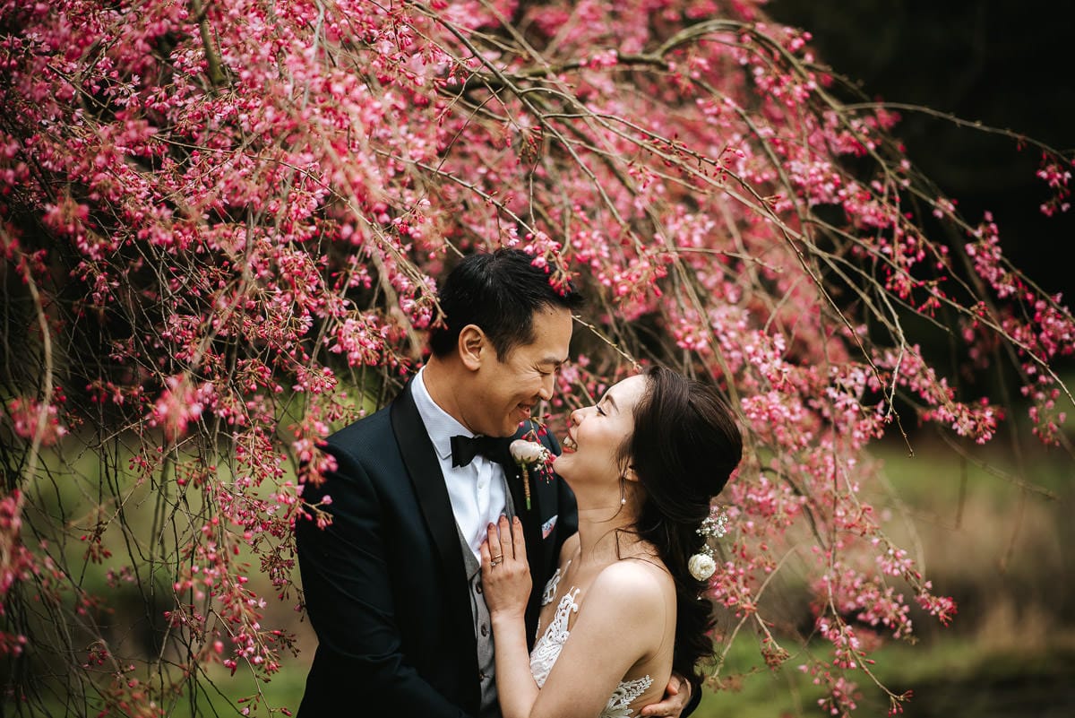 chinese wedding london hall place bexley bride and groom under the tree