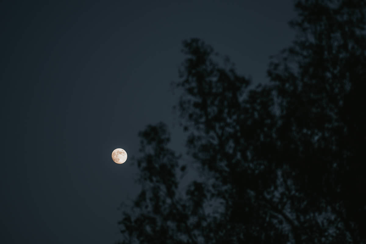 Jewish Wedding Photographer London 96