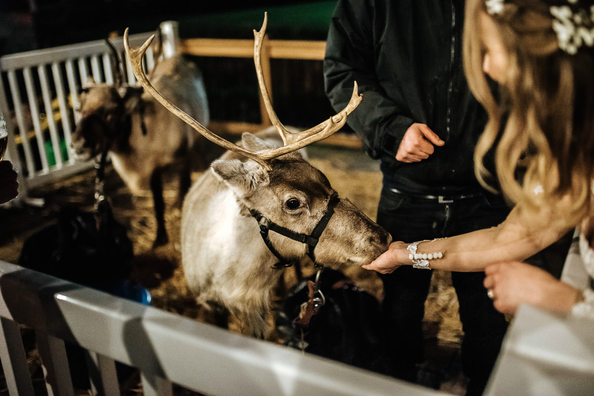 tewin bury farm wedding fireworks