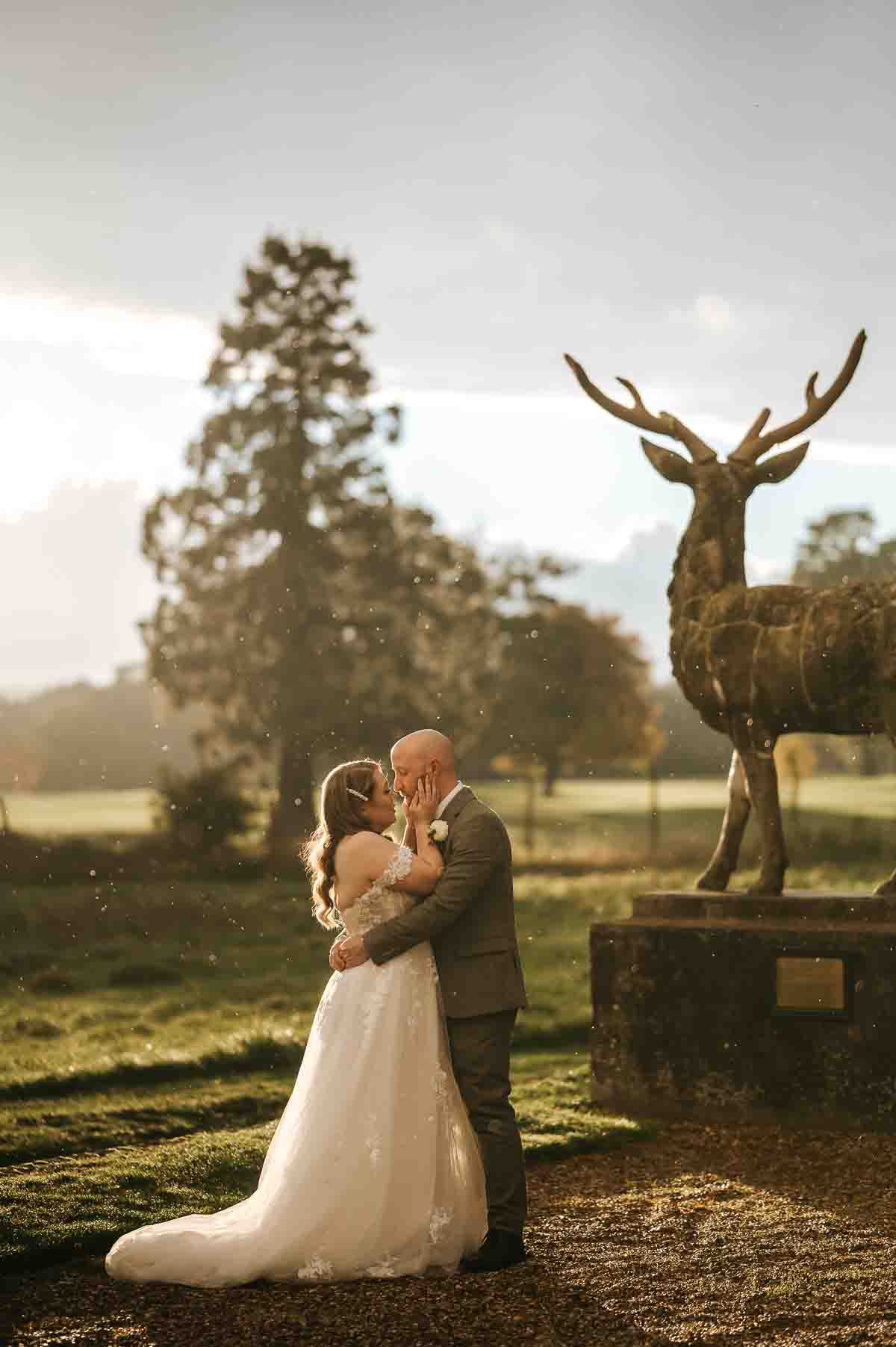 gosfield hall wedding golden hour in the rain by the deer statue