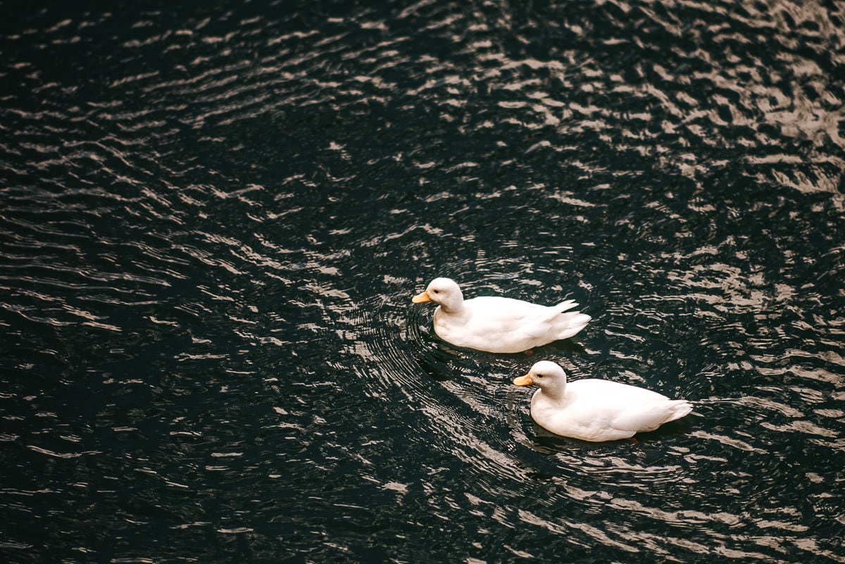 eubridge manor wedding cotswolds