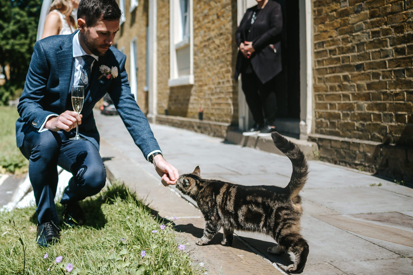 asylum chapel wedding groom petting a local tabby cat